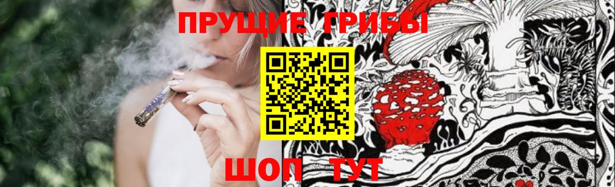 Псилоцибиновые грибы Cubensis Жуковский