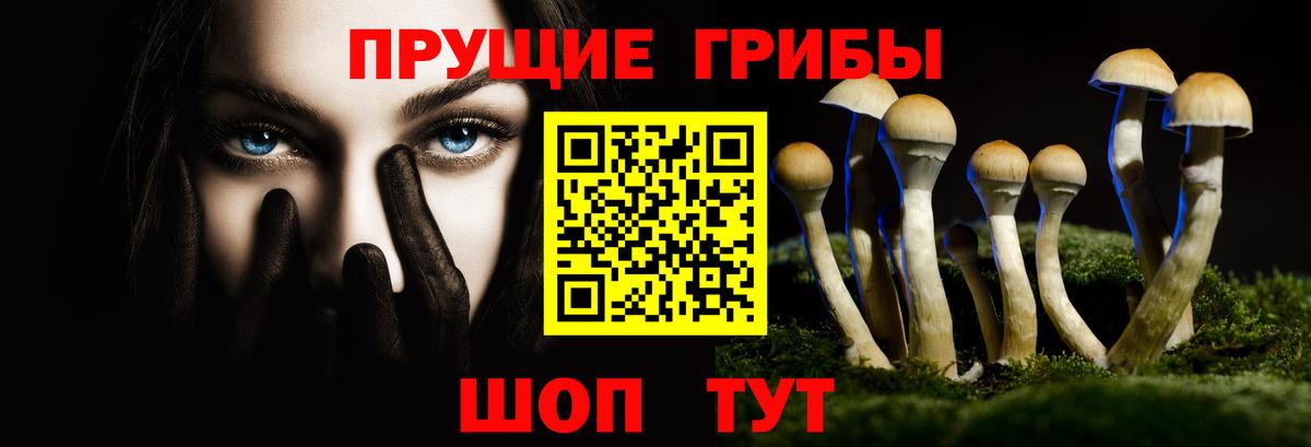Жуковский  Псилоцибиновые грибы Magic Shrooms  Вход с VPN 